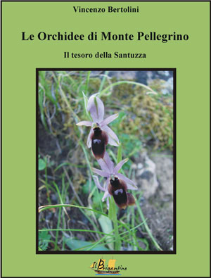 Le Orchidee di Monte Pellegrino