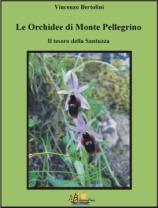 Le Orchidee di Monte Pellegrino