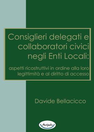 Consiglieri delegati e collaboratori civici negli enti locali: aspetti ricostruttivi in ordine alla loro legittimit e al diritto di accesso