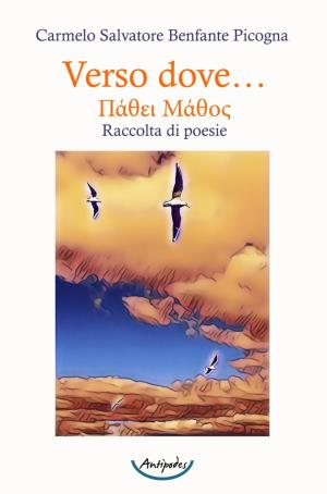Verso dove