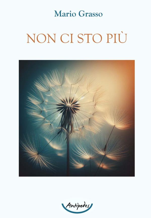 Non ci sto pi